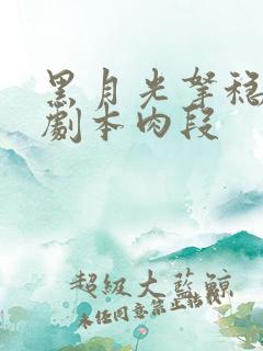 黑月光拿稳be剧本肉段