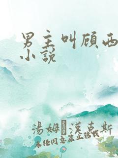 男主叫顾西辞的小说