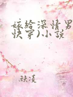 嫁给深情男配(快穿)小说