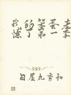 我的笨蛋老婆失忆了第一季