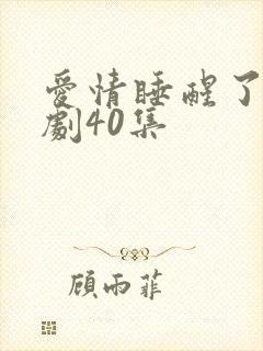 爱情睡醒了电视剧40集