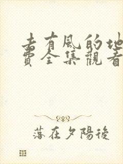 去有风的地方免费全集观看