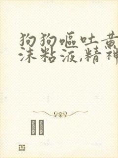 狗狗呕吐黄水泡沫粘液,精神食欲却很好