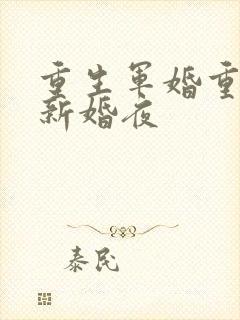 重生军婚重生在新婚夜