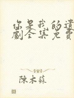 你是我的遗憾短剧全集免费观看