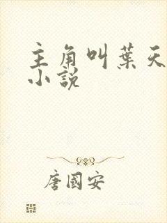 主角叫叶天帝的小说