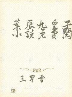 叶辰九皇子穿越小说免费阅读