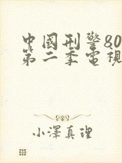 中国刑警803第二季电视剧全集免费观看