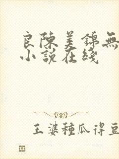 良陈美锦无删减小说在线