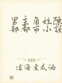 男主角姓陈的全部都市小说