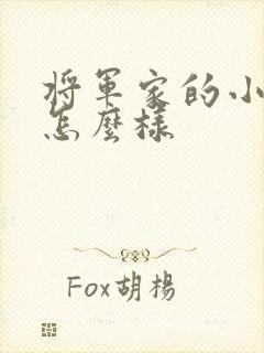 将军家的小娘子怎么样