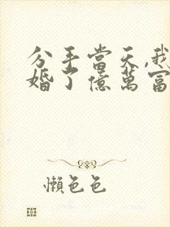 分手当天,我闪婚了亿万富豪txt