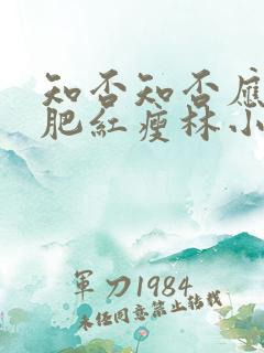 知否知否应是绿肥红瘦林小娘结局