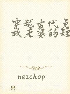 穿越古代免费发放老婆的短剧