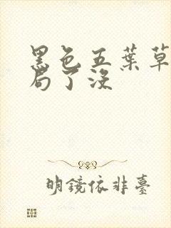 黑色五叶草大结局了没