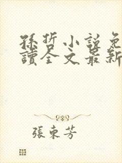 孙哲小说免费阅读全文最新章节