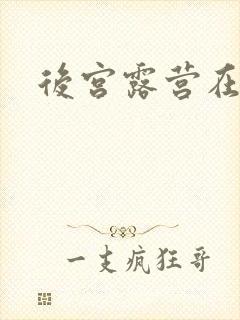 后宫露营在线看