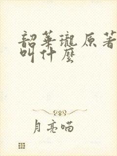 韶华珑原著小说叫什么