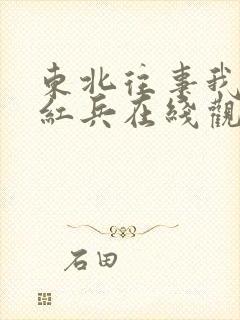 东北往事我叫赵红兵在线观看完整版国语