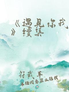 《遇见你我的爱》续集