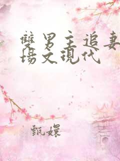 双男主追妻火葬场文现代