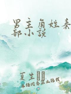 男主角姓秦的全部小说