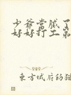 少爷当腻了只想好好打工第一集