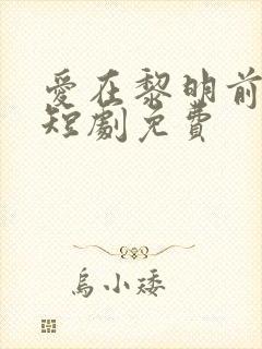 爱在黎明前升起短剧免费