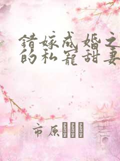 错嫁成婚之总裁的私宠甜妻