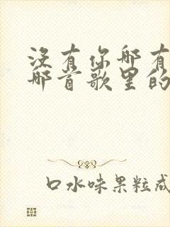 没有你哪有我是哪首歌里的歌词