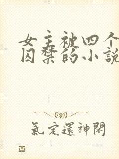 女主被四个病娇囚禁的小说