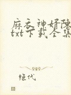 麻衣神婿陈黄皮txt下载全集