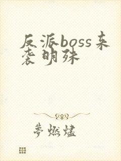 反派boss来袭明殊
