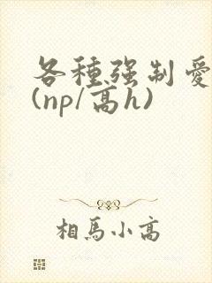 各种强制爱合集(np/高h)