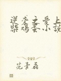 逆袭之爱上情敌柴鸡蛋小说在线全集