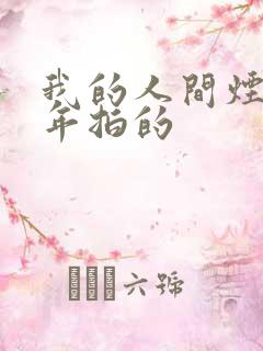 我的人间烟火哪年拍的