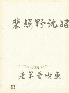 裴照野沈昭小说