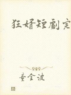 狂婿短剧完整版