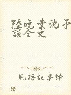 陆晚棠沈予安小说全文