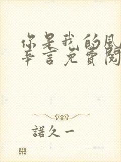 你是我的风景林辛言免费阅读