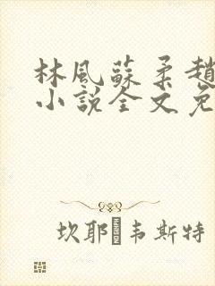 林风苏柔赵刚的小说全文免费阅读