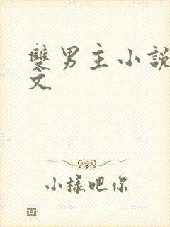 双男主小说年代文