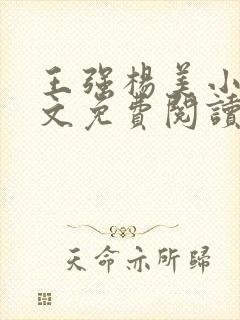 王强杨美小说全文免费阅读最新章节