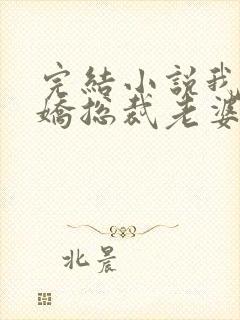 完结小说我的傲娇总裁老婆