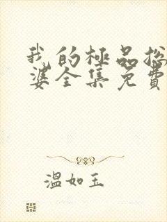 我的极品总裁老婆全集免费