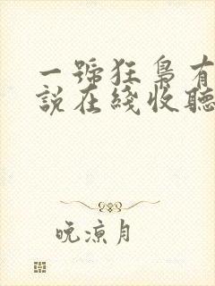 一号狂枭有声小说在线收听