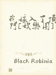 我嫁入了顶级豪门[娱乐圈]