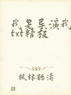 我是导演我不比txt精校