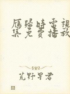 雁归时电视剧全集免费播放在线观看