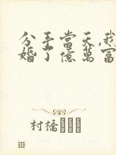 分手当天,我闪婚了亿万富豪全文免费阅读